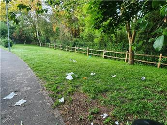 Litter - Mill Road