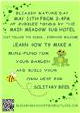 Bleasby Nature Day - 12th May - Ponds & Bees