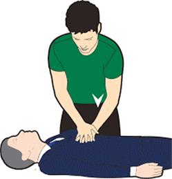 Defibrillator*/CPR Training