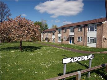 Kingsclere Neighbourhood Plan latest