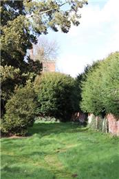 Wildlife garden clearance POSTPONED