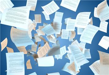 Highlights of the Parish Council Meeting January 2026