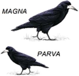 Help for Households with the Cost of Living