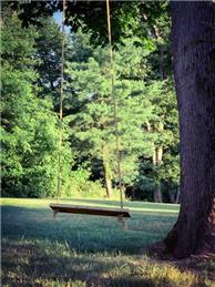 Rope swing adjacent to Church Close, Shipley