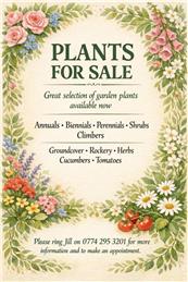 PLANTS, plants and more plants