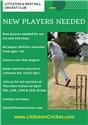 Littleton Cricket team needs more players