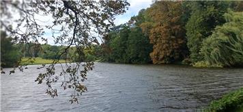 Pre-Christmas Day Walk