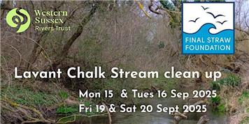 Lavant Chalk Stream Clean Up