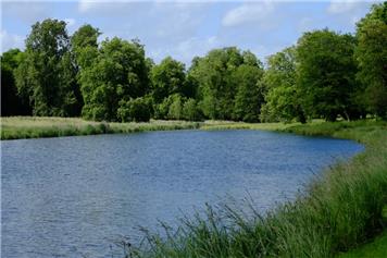 Spring Walk in Warnford Park