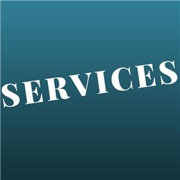 Electric Vehicle Survey