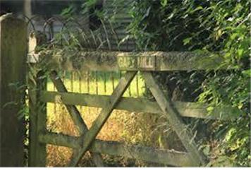 News Following the 16th October meeting