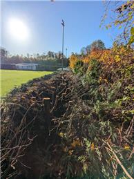 Hedge Cutting Project - Phase 1