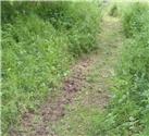 Late May Footpath and Byway Clearance by NWPC Volunteers