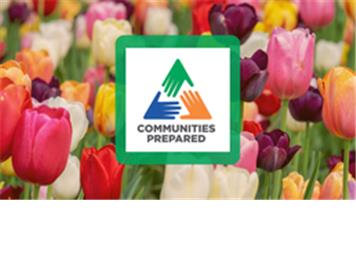 Advice for domestic abuse survivors on the nationwide Emergency Alert test