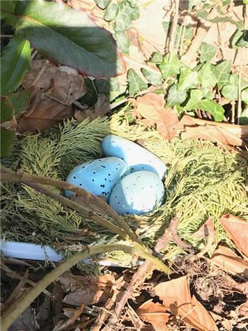  - Still time left to find a nest for your egg......
