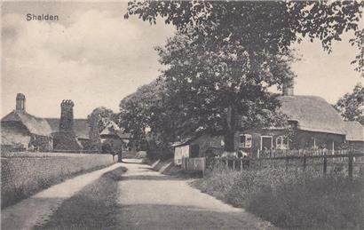 Shalden lane looking towards Southwood Road, Manor Farm is on the left - Postmarked 4.1.1922 - New Postcard added to website