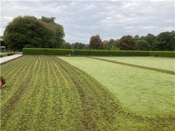 BUSY MORNING AT THE GREEN