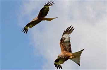 Tea and Cake and Chat - Tuesday 3rd February '26