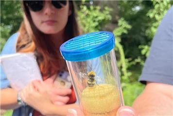 Bees Needs Science Festival 2026