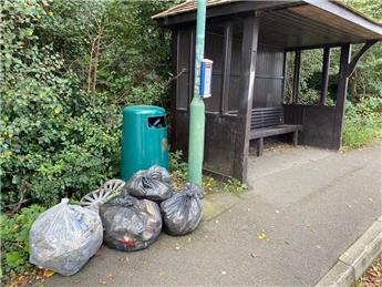 September Big Clean - 20 Bags of Litter Cleared!