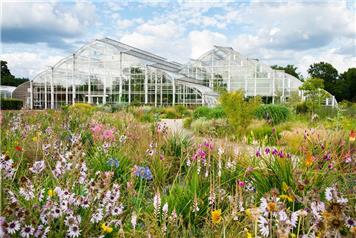 RHS Garden Wisley Wedding Showcase