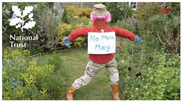 STOP! Don't mow the lawn, it's NO MOW MAY...