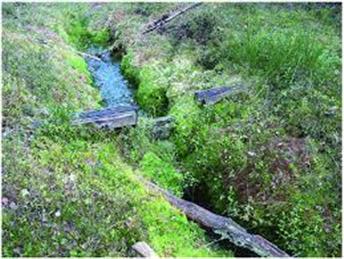 Are you a Riparian Landowner....?