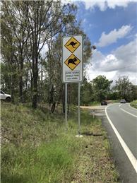 Crocodile Hotson – Colin Hotson’s new life in Australia