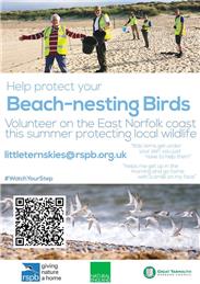 Beach Volunteers needed