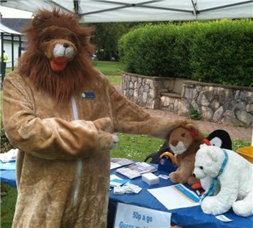 I thought I would never see you again! - More June 2015 News - Alton's Friendly Lion reunited with lost relative ?!