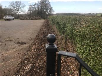 HEDGE REMOVAL COMPLETE