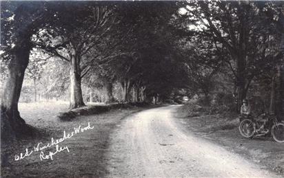 Old Winchester Wood c1920 - New Postcards added to website