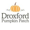 Droxford Pumpkin Patch