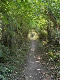 Stanks Lane - Vegetation Works