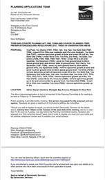 Tree Works Planning Applications