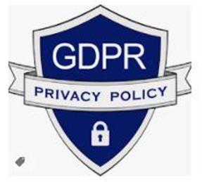 Website essential content