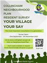 New Neighbourhood Plan surveys