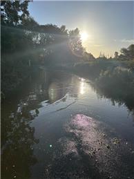 BeckBusters Stays Calm And Carries On