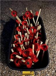 UPDATE - POPPY FIELD DONATIONS CONTINUE TO GROW