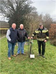 Queen's Green Canopy in Warbleton