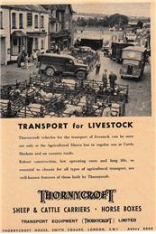 New advert added to website