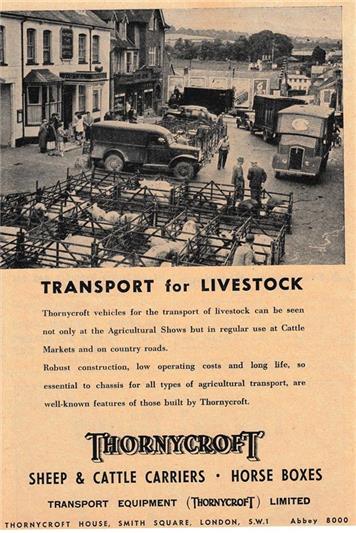 Thornycroft advert July 1955 - New advert added to website