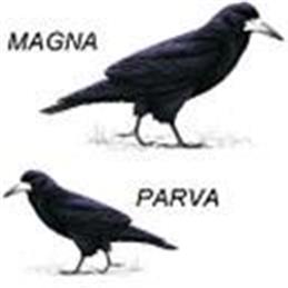 Would you like to win a prize?