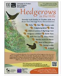 Hedgerows in the Hills