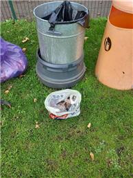 King George's Playing Field - No Dogs or Dog Waste!