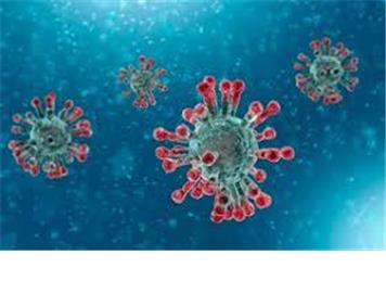 COVID rules for the Clubhouse and Green