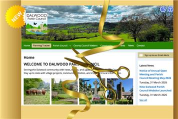 Example: Dalwood Summer Community Picnic