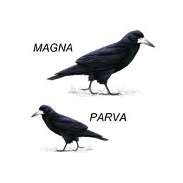 Annual Parish Meeting Tuesday 5 May 2026