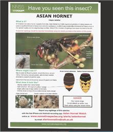 Hornet Alert