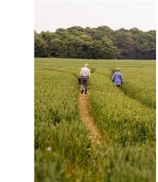 Please stay on the Footpaths